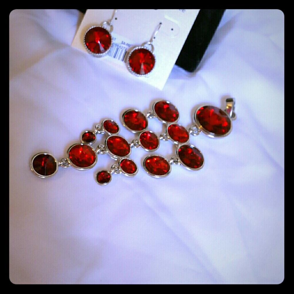 Earrings and Gorgeous necklace charm!